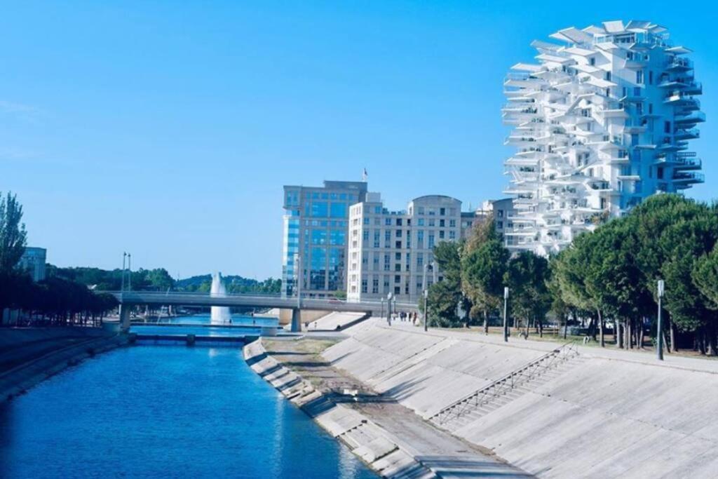 Appartement T2 A L'Arbre Blanc Монпелие Екстериор снимка